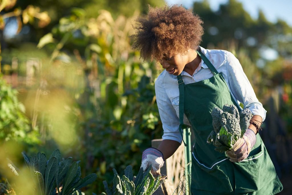 How to Choose the Right Plants for Your Garden