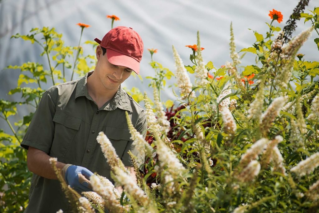Why Eco-Friendly Gardening is the Future