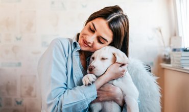 Dog Flu – Does Your Dog Need Protecting?