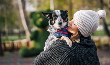 How To Create A Cat’s Patio Outdoor Space